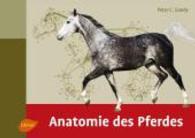 Anatomie des Pferdes （2., bereinigte Ausg. 2015. 152 S. 250 Zeichnungen. 210 x 290 mm）