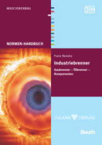 Normen-Handbuch Industriebrenner : Gasbrenner - Ölbrenner - Komponenten （2012. 944 S. 211 mm）