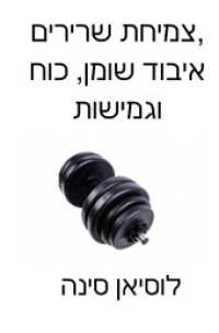 Tsmichat shiririm, ivvod shomen, koch, ugmiishut : Tokhn katuv b'safa ha'Ivrit u'v'ma'arakhet ha'ktiva （2024. 80 S. 190 mm）