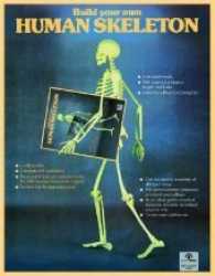 Build Your Own Human Skeleton -- Paperback