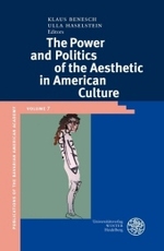 The Power and Politics of the Aesthetic in American Culture (Publikationen Der Bayerischen Amerika-akademie / Publication)