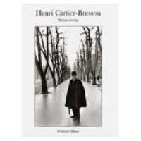 Meisterwerke : Photographien （1., Neuaufl. 2004. 128 S. 52 Duoton-Abb. 19.2 cm）