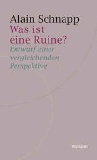 Was ist eine Ruine? : Entwurf einer vergleichenden Perspektive (Historische Geisteswissenschaften. Frankfurter Vorträge 7)