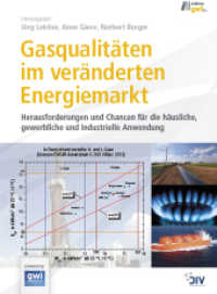 Gasqualitäten im veränderten Energiemarkt : Herausforderungen und Chancen für die häusliche, gewerbliche und industrielle Anwendung （1. Aufl. 2014. 596 S. 23 cm）