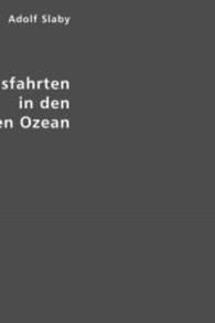 Entdeckungsfahrten in den elektrischen Ozean (Edition Classic) （Repr. 2007. 448 S. 210 mm）