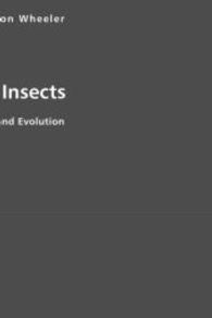 The Social Insects