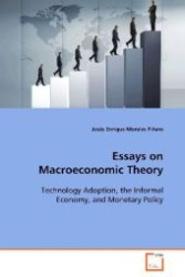 Essays on Macroeconomic Theory