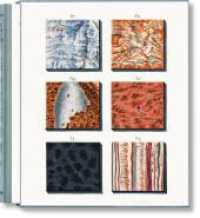 Jan Christiaan Sepp. The Book of Marble : Mehrsprachige Ausgabe （2023. 312 S. 304 mm）