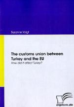 The customs union between Turkey and the EU: How did it affect Turkey?