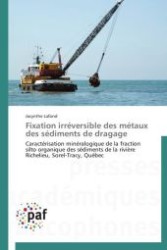 Fixation irréversible des métaux des sédiments de dragage : Caractérisation minéralogique de la fraction silto organique des sédiments de la rivière Richelieu, Sorel-Tracy, Québec （Aufl. 2012. 132 S.）