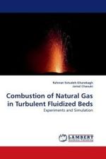 Combustion of Natural Gas in Turbulent Fluidized Beds : Experiments and Simulation （2009. 180 S.）
