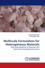 Multiscale Formulation for Heterogeneous Materials : Multiscale Modeling of Materials with Fixed and Evolving Microstructures （2009. 200 S.）
