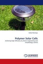 Polymer Solar Cells : Achieving high efficiency by device engineering and morphology control （2010. 136 S.）