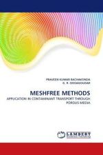 Meshfree Methods : Application In Contaminant Transport Through Porous Media （2010. 264 S.）