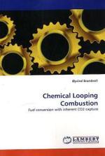 Chemical Looping Combustion : Fuel conversion with inherent CO2 capture （2010. 192 S. 220 mm）