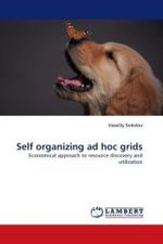 Self organizing ad hoc grids : Economical approach to resource discovery and utilization （2010. 88 S.）