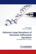 Pathwise Large Deviations of Stochastic Differential Equations : with Applications to Finance （2010. 200 S. 220 mm）