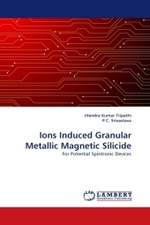 Ions Induced Granular Metallic Magnetic Silicide : For Potential Spintronic Devices （2011. 280 S.）