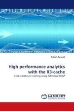 High performance analytics with the R3-cache : Data-warehouse caching using Relational OLAP （2010. 104 S.）