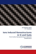 Ions Induced Nanostructures in Si and GaAs : From Surface Nanopatterning to Materials Modifications （2010. 228 S.）
