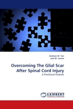 Overcoming The Glial Scar After Spinal Cord Injury : A Preclinical Outlook （2010. 196 S. 220 mm）
