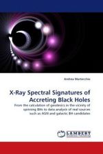 X-Ray Spectral Signatures of Accreting Black Holes : From the calculation of geodesics in the vicinity of spinning BHs to data analysis of real sources such as AGN and galactic BH candidates （2010. 164 S. 220 mm）