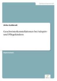Geschwisterkonstellationen bei Adoptiv- und Pflegekindern （2003. 112 S. 210 mm）
