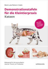 Demonstrationstafeln für die Kleintierpraxis Katzen : Bildmaterial für die Kommunikation zwischen Tierarzt und Tierbesitzer. Jede Seite: laminiert, beschreibbar, abwischbar （2023. 92 S. 92 ganzseitige Bildtafeln laminiert und abwaschbar. 297 mm）