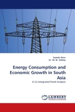 Energy Consumption and Economic Growth in South Asia : A Co-integrated Panel Analysis （2011. 88 S. 220 mm）