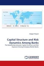 Capital Structure and Risk Dynamics Among Banks : The Relationship between Capital Structure and Risk Exposure Among Emerging Market Banks （2011. 280 S.）