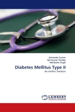 Diabetes Mellitus Type II : An Insilico Solution （2011. 148 S.）