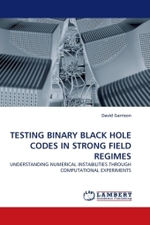 TESTING BINARY BLACK HOLE CODES IN STRONG FIELD REGIMES : UNDERSTANDING NUMERICAL INSTABILITIES THROUGH COMPUTATIONAL EXPERIMENTS （2011. 132 S.）