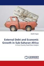 External Debt and Economic Growth in Sub-Saharan Africa : A Cross Country Panel Data Analysis （2011. 80 S. 220 mm）