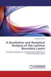 A Qualitative and Analytical Analysis of the Laminar Boundary Layers : Asymptotic Behaviours and Kantorovich Method for Laminar Boundary Layers （2011. 184 S.）