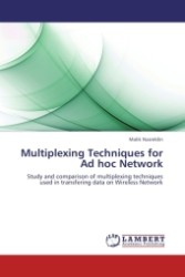 Multiplexing Techniques for Ad hoc Network : Study and comparison of multiplexing techniques used in transfering data on Wireless Network （2011. 60 S.）