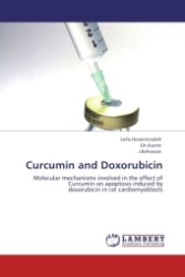Curcumin and Doxorubicin : Molecular mechanisms involved in the effect of Curcumin on apoptosis induced by doxorubicin in rat cardiomyoblasts （2011. 148 S.）