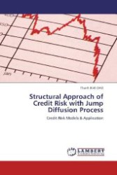 Structural Approach of Credit Risk with Jump Diffusion Process : Credit Risk Models & Application （2011. 180 S. 220 mm）