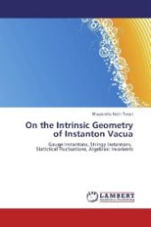 On the Intrinsic Geometry of Instanton Vacua : Gauge Instantons, Stringy Instantons, Statistical Fluctuations, Algebraic Invariants （2011. 108 S. 220 mm）