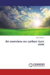 An overview on carbon turn over （2012. 64 S. 220 mm）