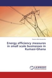 Energy efficiency measures in small scale businesses in Kumasi-Ghana （Aufl. 2011. 76 S.）