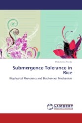 Submergence Tolerance in Rice : Biophysical Phenomics and Biochemical Mechanism （2011. 164 S.）