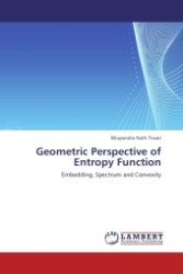 Geometric Perspective of Entropy Function : Embedding, Spectrum and Convexity （2011. 76 S.）