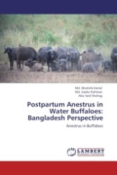 Postpartum Anestrus in Water Buffaloes: Bangladesh Perspective : Anestrus in Buffaloes （Aufl. 2011. 64 S.）