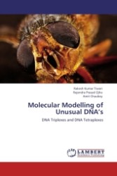 Molecular Modelling of Unusual DNA s : DNA Triplexes and DNA Tetraplexes （2011. 128 S.）