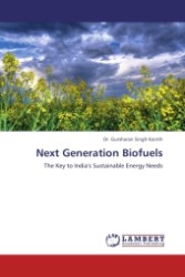 Next Generation Biofuels : The Key to India's Sustainable Energy Needs （2011. 144 S.）