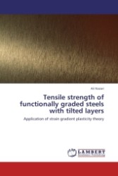 Tensile strength of functionally graded steels with tilted layers : Application of strain gradient plasticity theory （2011. 60 S.）
