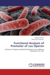Functional Analysis of Promoter of cus Operon : Activity of Copper-mediated Induction of cus Operon Promoter in E. coli. （2011. 76 S.）