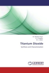 Titanium Dioxide : Synthesis and Characterization （2011. 96 S.）