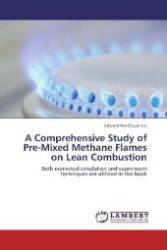 A Comprehensive Study of Pre-Mixed Methane Flames on Lean Combustion : Both numerical simulation and experiment techniques are utilized in this book （Aufl. 2011. 164 S. 220 mm）