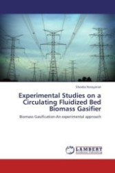 Experimental Studies on a Circulating Fluidized Bed Biomass Gasifier : Biomass Gasification-An experimental approach （Aufl. 2011. 308 S.）